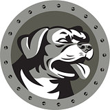 Rottweiler Guard Dog Head Metallic Circle Retro