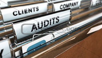 Internal Audit, Company Management