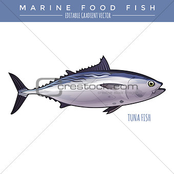 Tuna. Marine Food Fish