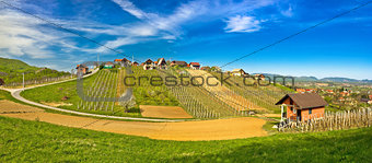 Hillside vineyards and cottages of Zagorje region
