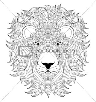 head of  lion