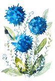 Blue flowers bouquet.