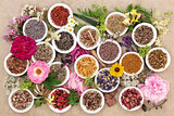 Herbs and Flowers for Healing