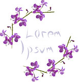 Vector purple floral frame. Flower illustration