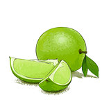 Ripe lime and slice
