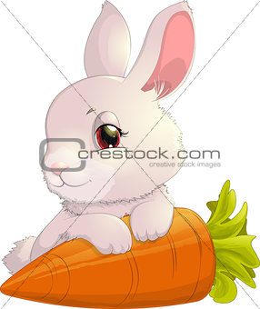 rabbit on carrot