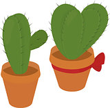 cactus in  brown pot, desert green flora, prickly plant, thorny, spiny