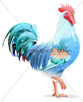 Blue bird cock. Blue Rooster symbol 2017 year