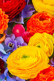 Ffesh Flowers Background