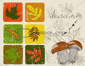 Vintage poster with autumn plants