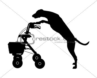 Dog pushes rollator