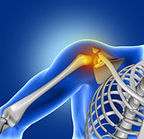 3D medical image of shoulder bone