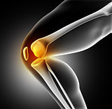 3D medical image of knee bone