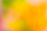 Abstract blur fresh color background