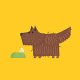 Scottish Terrier With Food Bowl Image