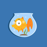 Golden Fish In Aquarium Image