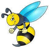 Wasp theme image 1