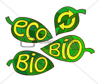 Hand drawn set of Eco labels. Ecology Inscriptions on leaf.
