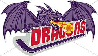 Dragon Fire Hockey Stick Retro