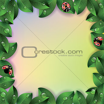Ladybugs and leaves on colorful background.