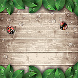 Ladybugs and leaves on wooden texture background. 