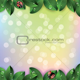 Red ladybugs and green leaves.
