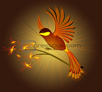 Bird of Paradise with flowers on a dark background. EPS10 vector illustration