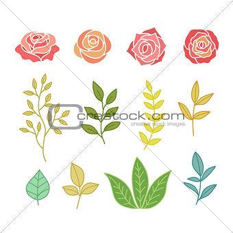 Hand Drawn Botany Set Of Flowers And Leaves