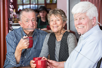 Mature Group of Friends in Coffee House