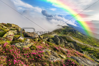 Landscape with Flowers and Rainbow