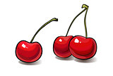 Ripe red cherry berries