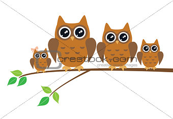 Owl Birds
