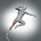 3D medical figure jumping