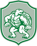 Green Turtle Fighter Mascot Shield Retro