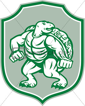 Green Turtle Fighter Mascot Shield Retro