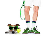 dog tennis ball player