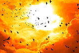  birds flying into a bright orange sunset