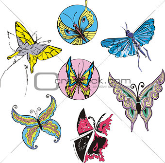 Butterflies and Moths Set
