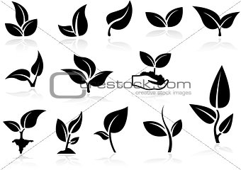 Plants Icons Set