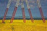 Power pole pylons in rapeseed field