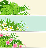 Tropical banners with green leaves