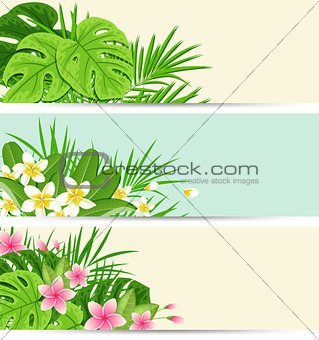 Tropical banners with green leaves
