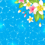 Blue tropical summer background
