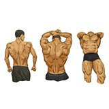 Muscular man body