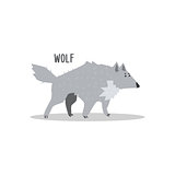 Wolf Vector Illustration