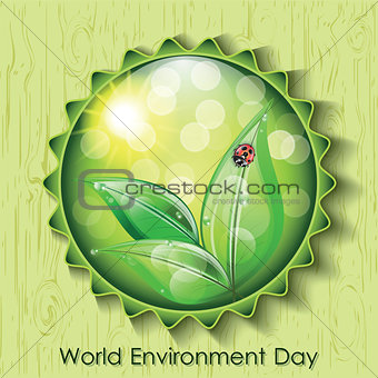 World environment day sign on green background. 