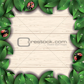 Ladybugs and green leaves on wooden background.