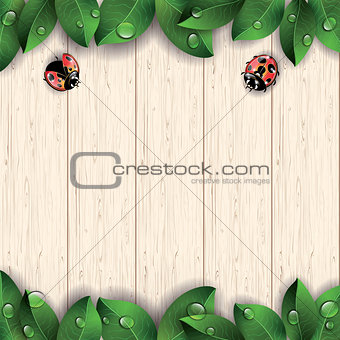 Ladybugs and green leaves on wooden background.