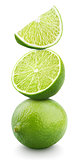 Ripe lime citrus fruit isolated on white