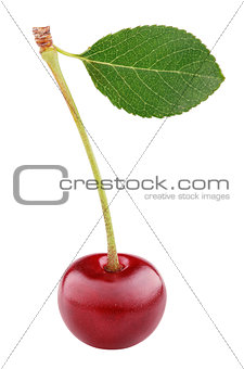 Cherry berry with leaf isolated on white